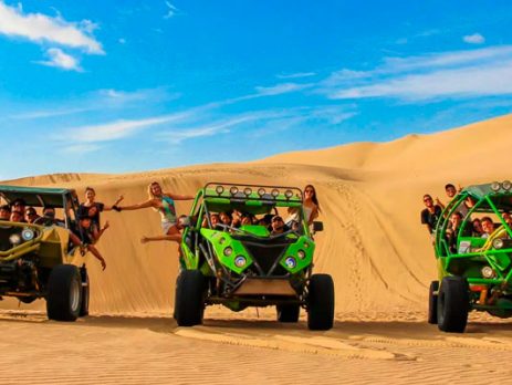 Full Day Paracas Islas Ballestas – City Tour Ica – Tour de Tubulares y Sandbording